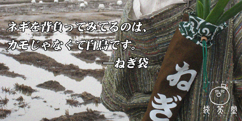 �k�C�����s���甿�z�Ȃǂ��g�����܂𔭐M�@�u�܏Γ��v�I�t�B�V�����T�C�g