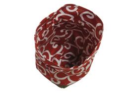 ���͈�ʓ����͗l�B